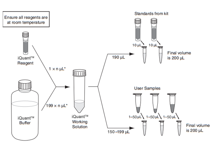 Iquant Dsdna Br Assay Kit Abp Biosciences